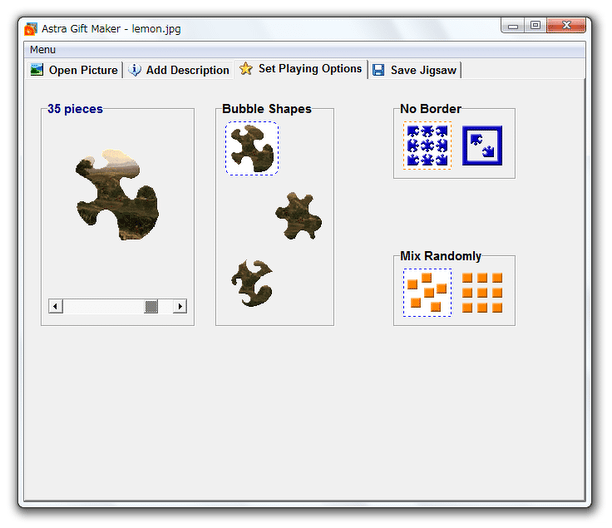 「Set Playing Options」タブ