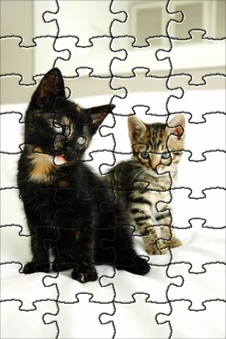 Jigsaw puzzles