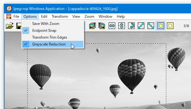 メニューバー上の「Options」→「Grayscale Reduction」から、画像をグレースケール化することもできる